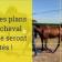 Tutoriel : Comment prendre en vidéo un cheval