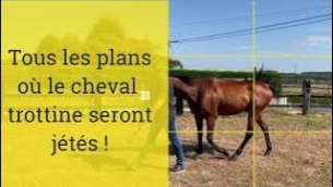 Image de l'article_Tutoriel : Comment prendre en vidéo un cheval