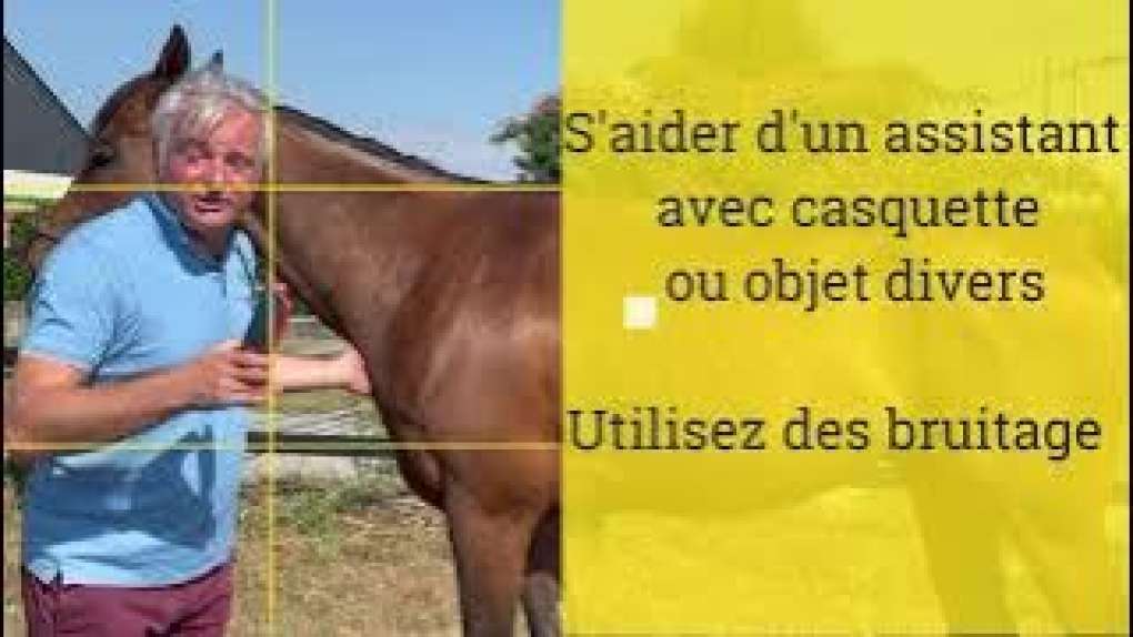 Tutoriel : Comment prendre en photo un cheval