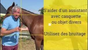 Image de l'article_Tutoriel : Comment prendre en photo un cheval