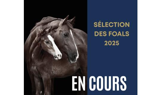 Produit 2025