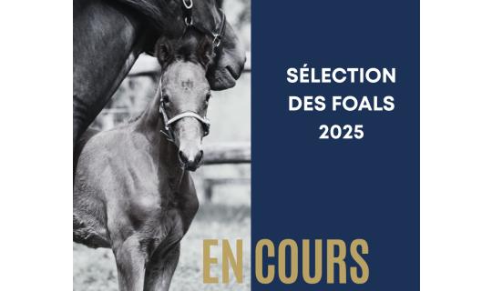 Produit 2025