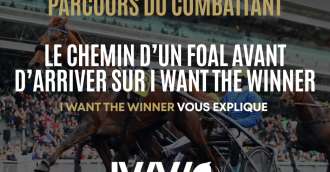 Image of the article_Le chemin d'un foal avant d'arriver sur IWW