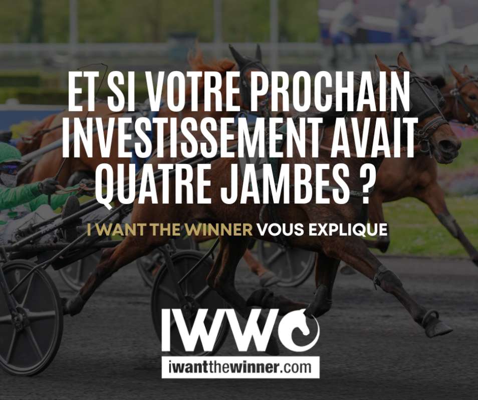 Et si votre prochain investissement avait quatre jambes ?