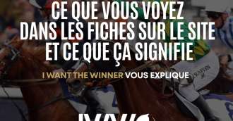 Image of the article_Ce que vous voyez dans les fiches et ce que cela signifie