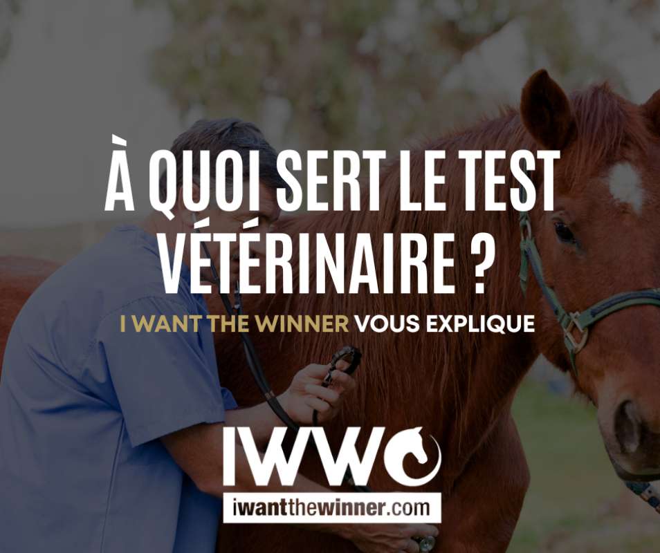 A quoi sert le test vétérinaire ? 