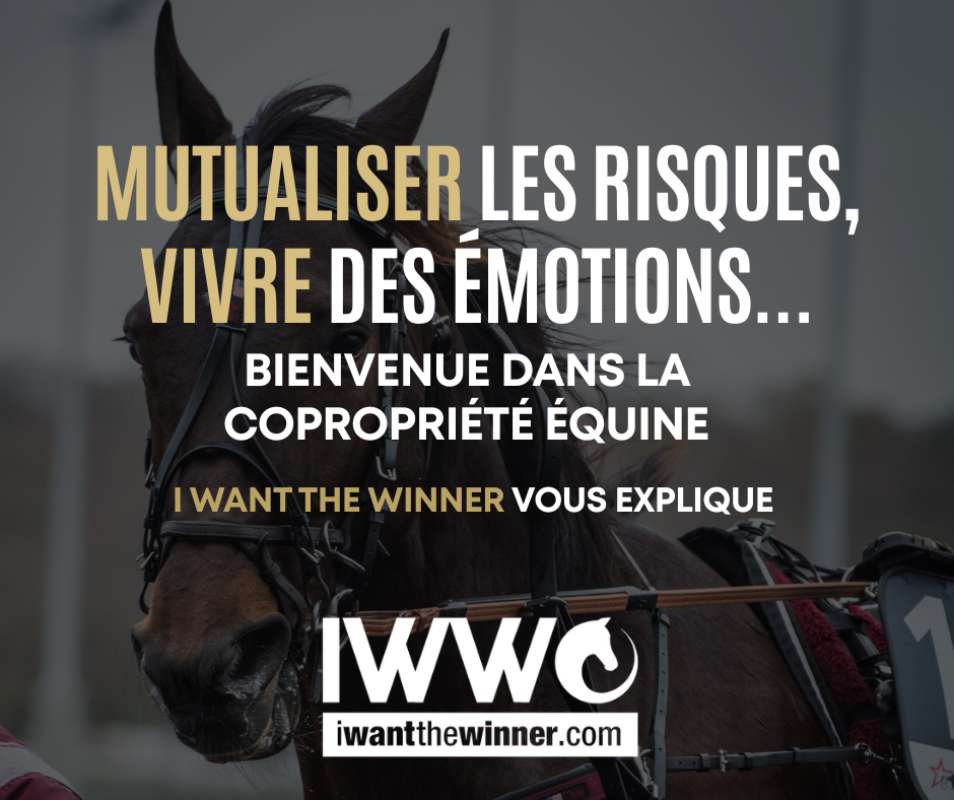 Mutualiser les risques : bienvenue dans la copropriété equine