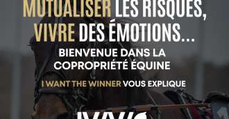 Image of the article_Mutualiser les risques : bienvenue dans la copropriété equine
