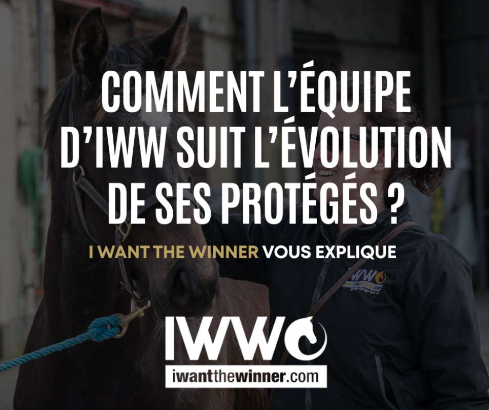 Comment l'équipe d'IWW suit l'évolution de ses protégés ? 