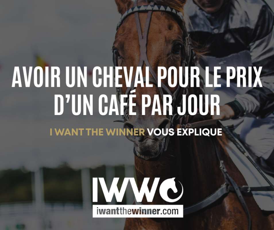 Devenir propriétaire d'un cheval de course : combien ça coûte ?