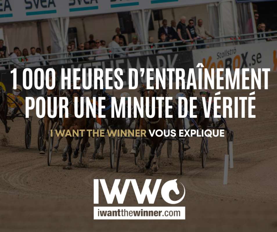 Un bon trotteur c'est 1000 heures d'entrainement pour 1 minute de vérité