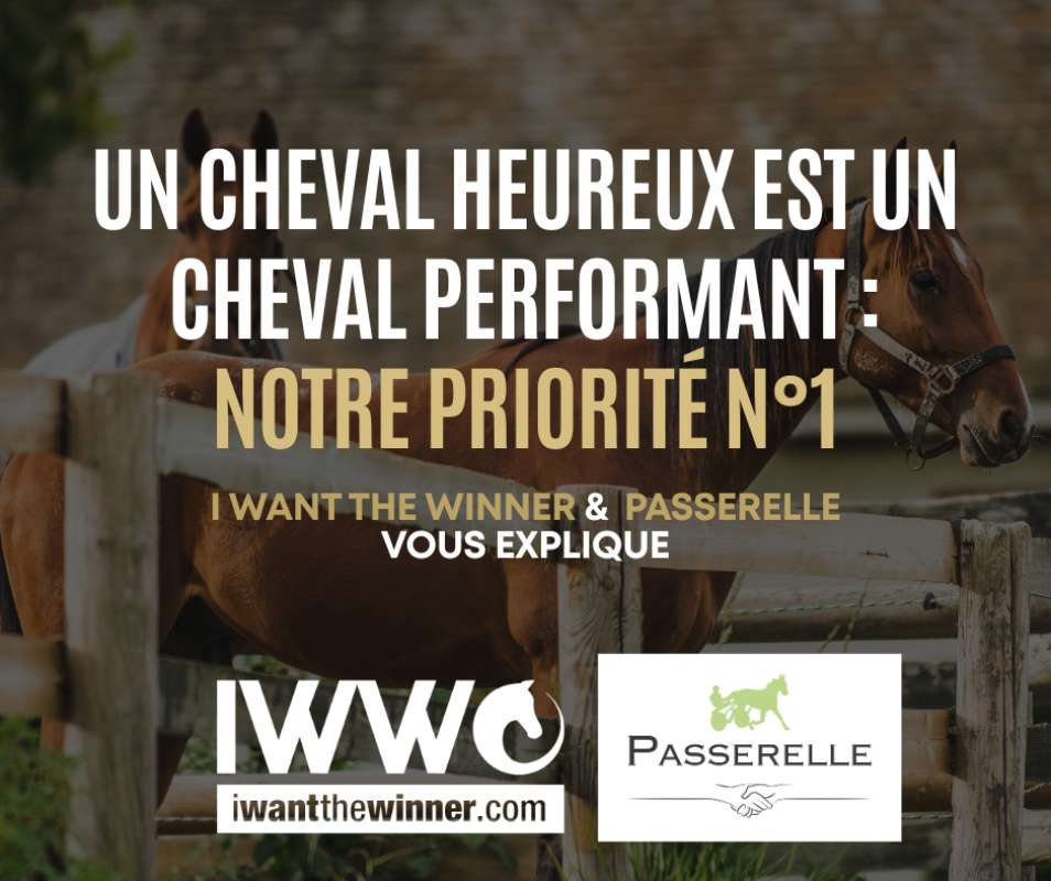 Un cheval heureux est un cheval performant : Notre priorité n°1 !