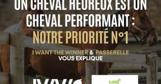 Image of the article_Un cheval heureux est un cheval performant : Notre priorité n°1 !