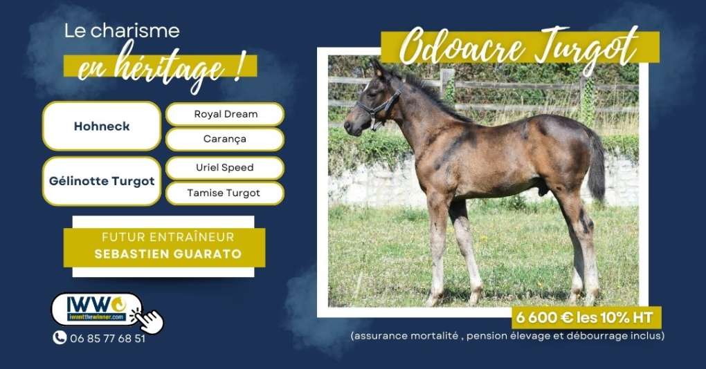 Odoacre Turgot : Débourrage Partie I