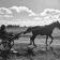Odoacre Turgot fait ses gammes ! 12/09/2025