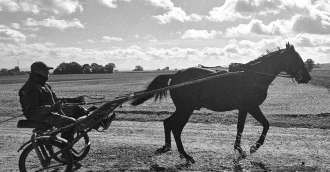 Image of the article_Odoacre Turgot fait ses gammes !