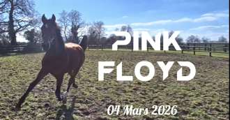 Image de l'article_Des nouvelles de Pink Floyd